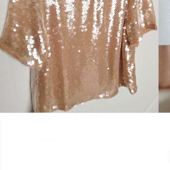 Loft NWT clear sequins blouse. Size small - Picture 4 of 5